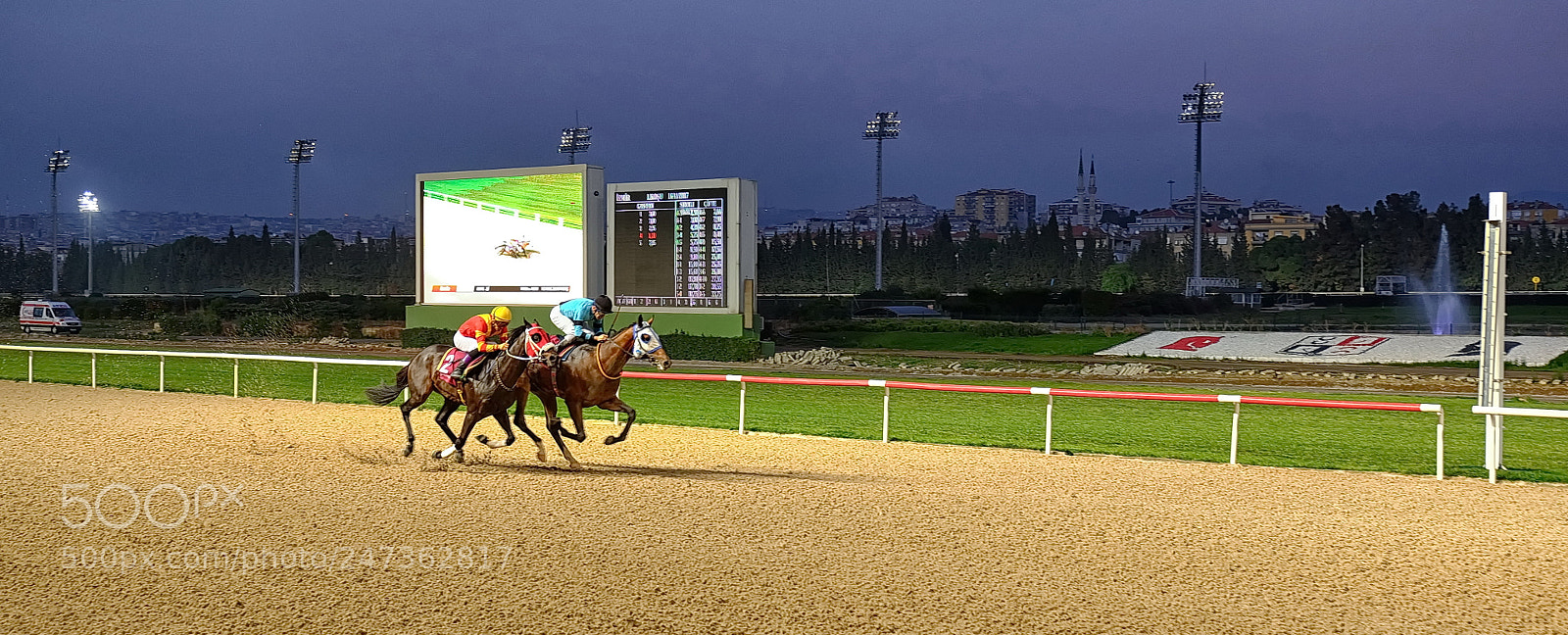 Fujifilm X-T1 sample photo. Head to head dscf7134-2.jpg photography