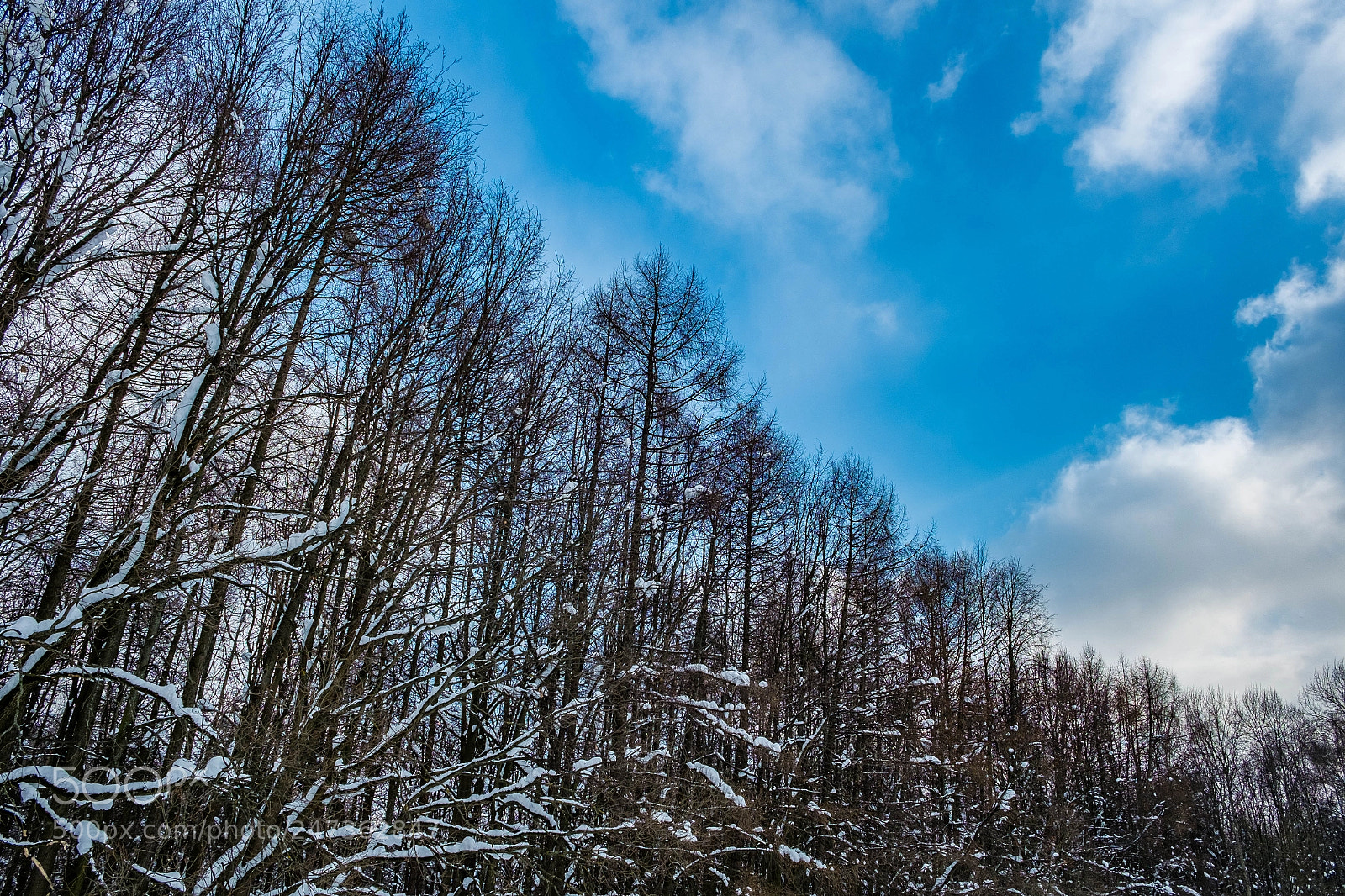 Fujifilm X-M1 sample photo. Pre-spring sky photography