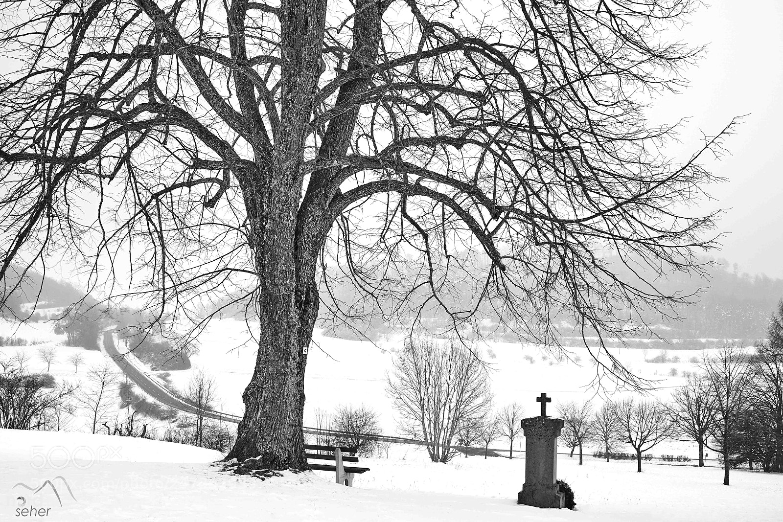 Sony ILCA-77M2 sample photo. Nebel morgen photography