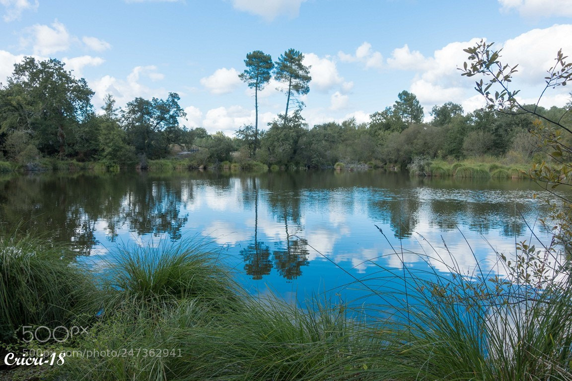 Sony Cyber-shot DSC-RX100 III sample photo. Fontaines photography