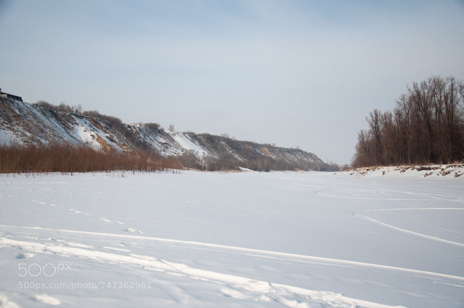 Nikon D5000 sample photo. February in siberia photography