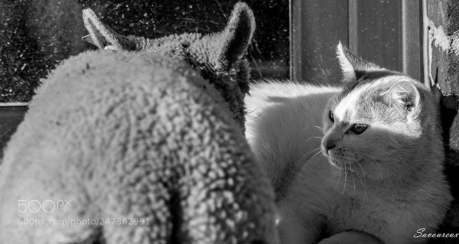 Nikon D5500 sample photo. *** photography