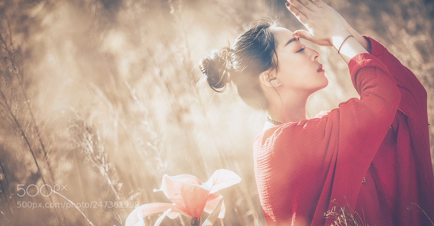 Canon EOS 5DS R sample photo. Untitled photography