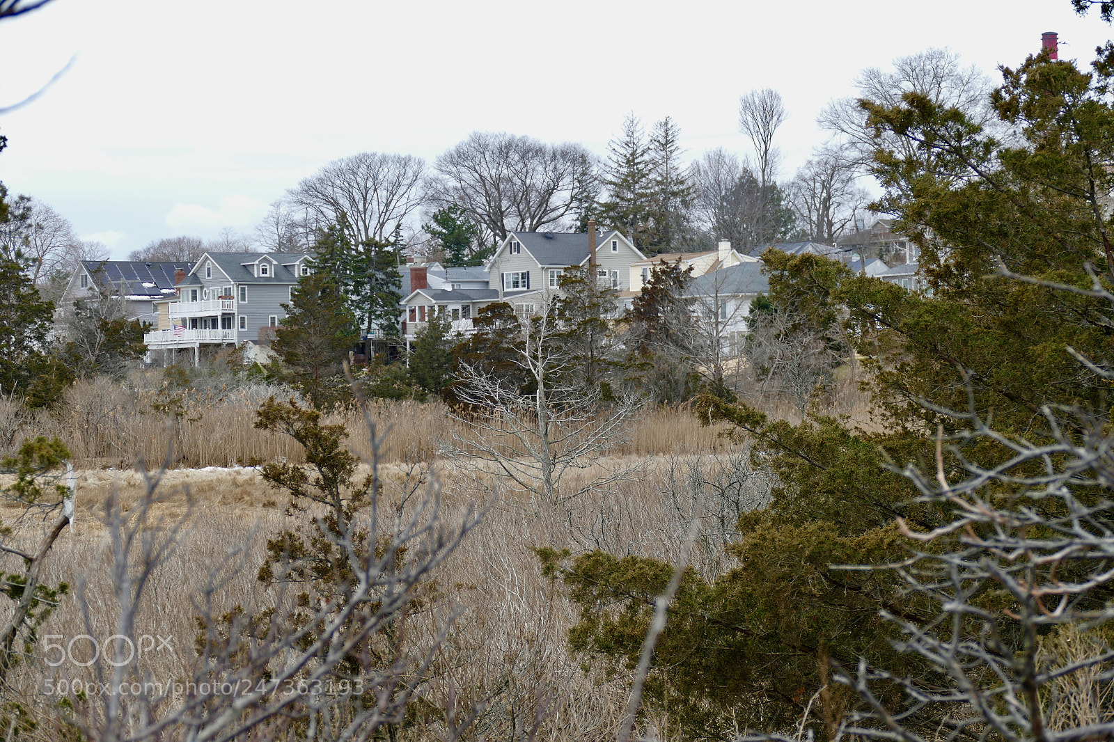 Panasonic Lumix DMC-FZ1000 sample photo. Crab meadow beach- northport photography