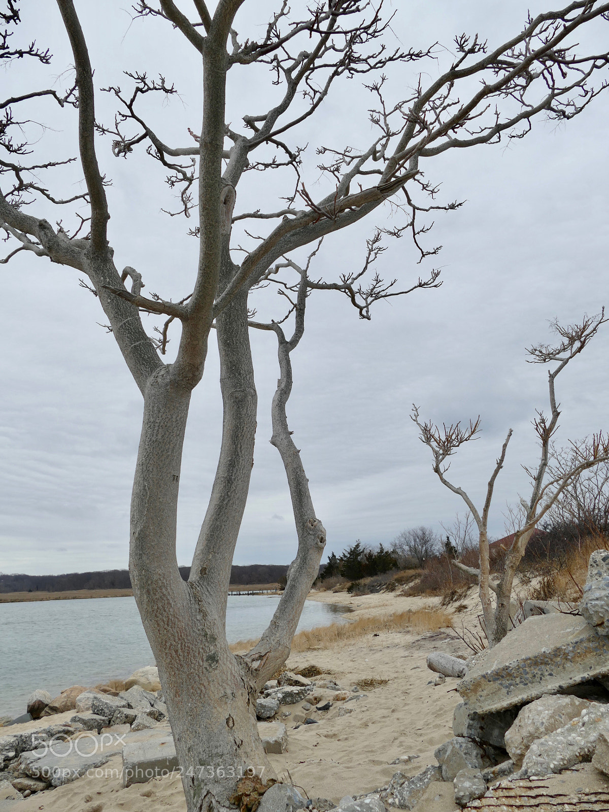Panasonic Lumix DMC-FZ1000 sample photo. Crab meadow beach- northport photography
