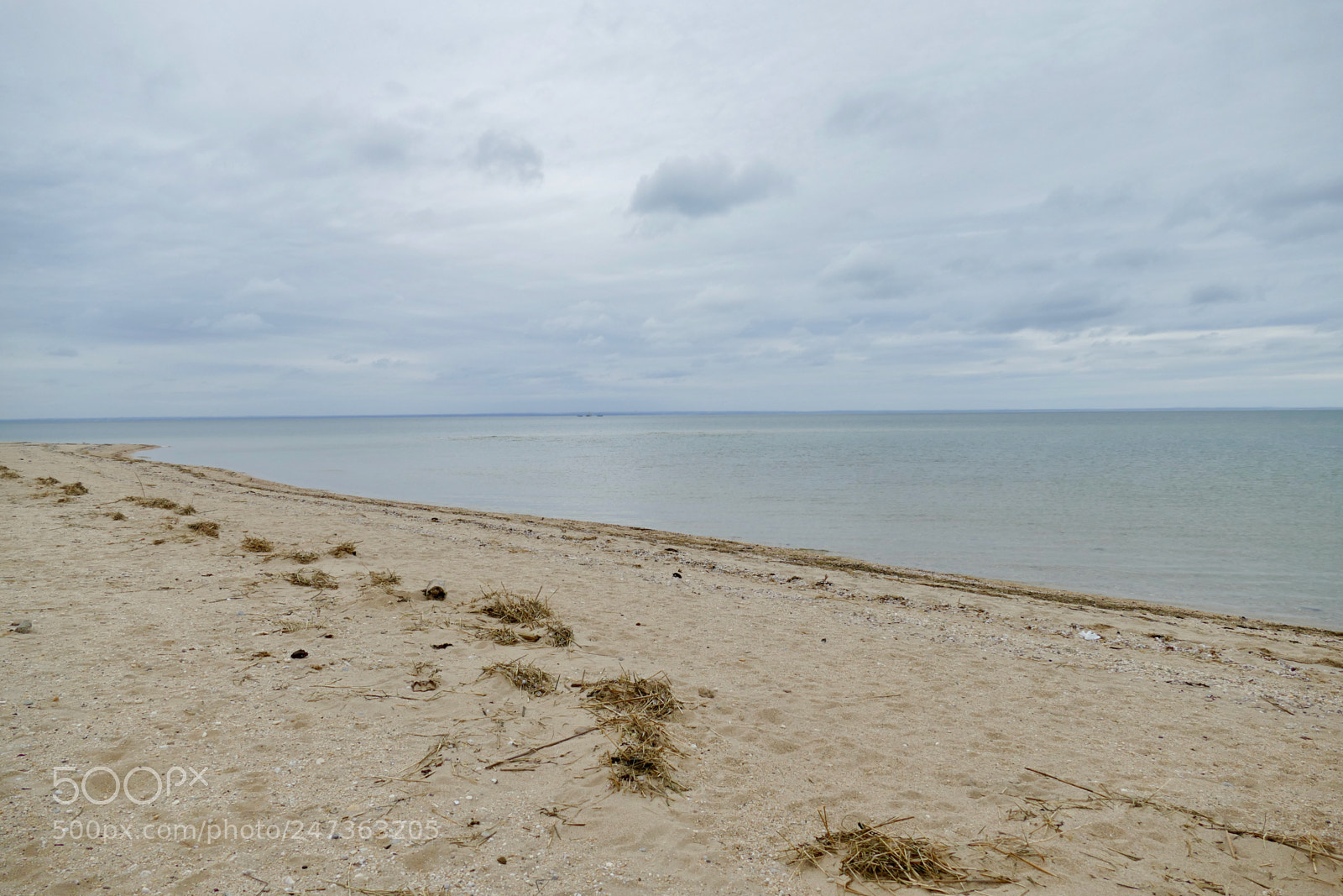 Panasonic Lumix DMC-FZ1000 sample photo. Crab meadow beach- northport photography
