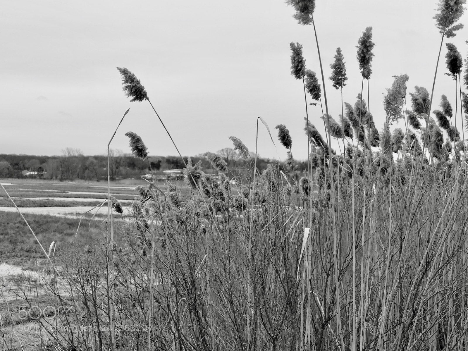 Panasonic Lumix DMC-FZ1000 sample photo. Crab meadow beach- northport photography