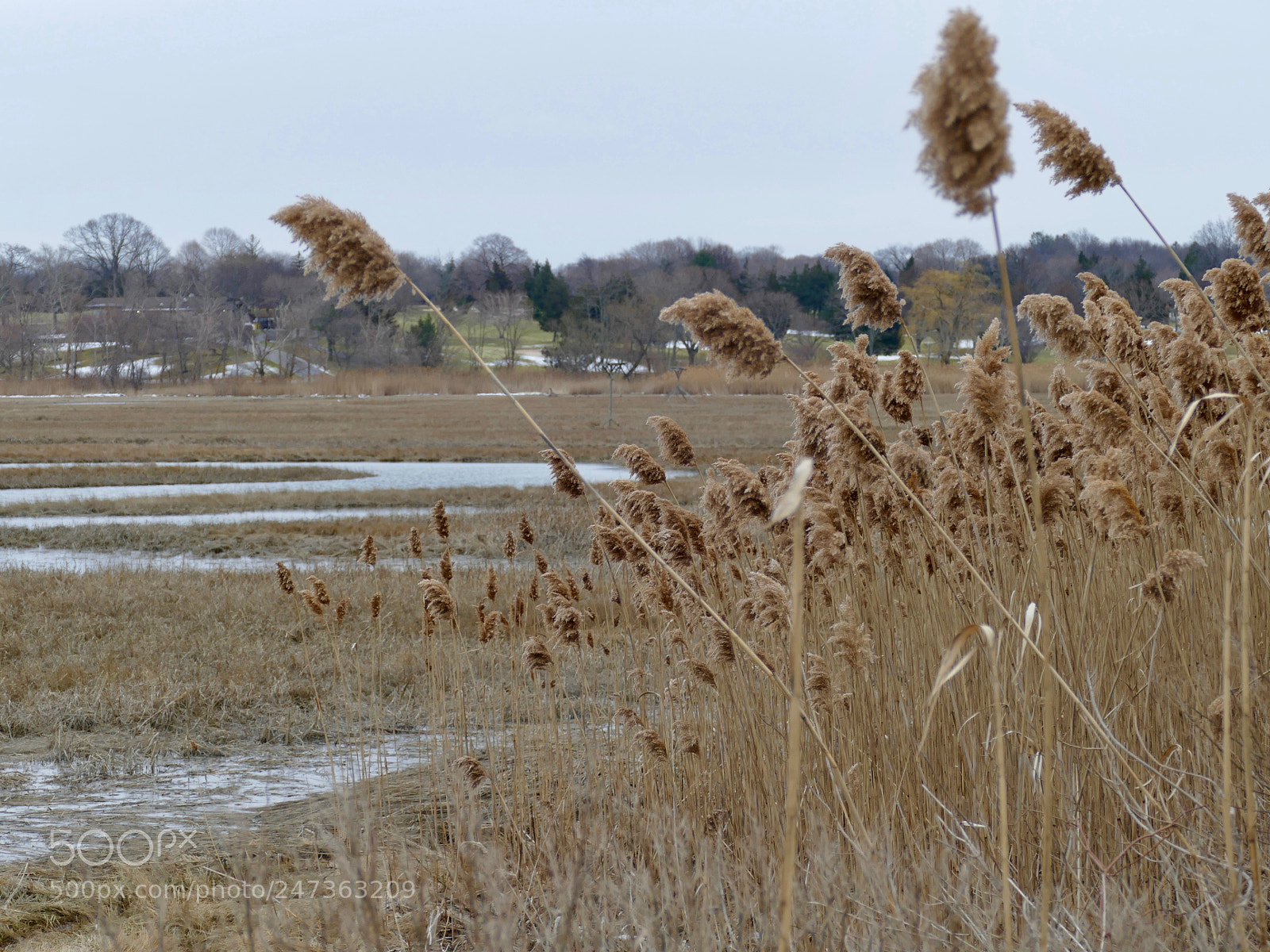 Panasonic Lumix DMC-FZ1000 sample photo. Crab meadow beach- northport photography