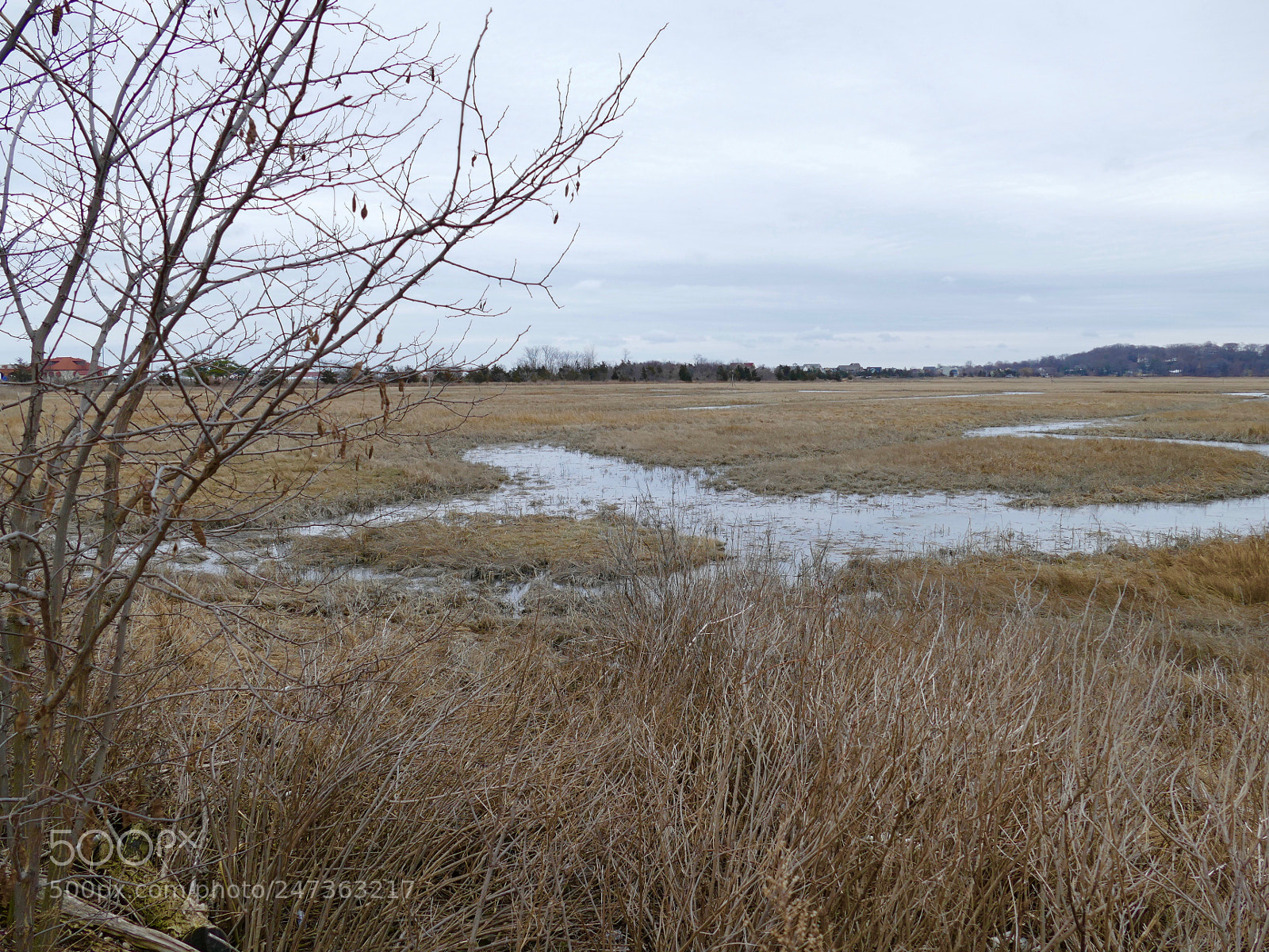 Panasonic Lumix DMC-FZ1000 sample photo. Crab meadow beach- northport photography
