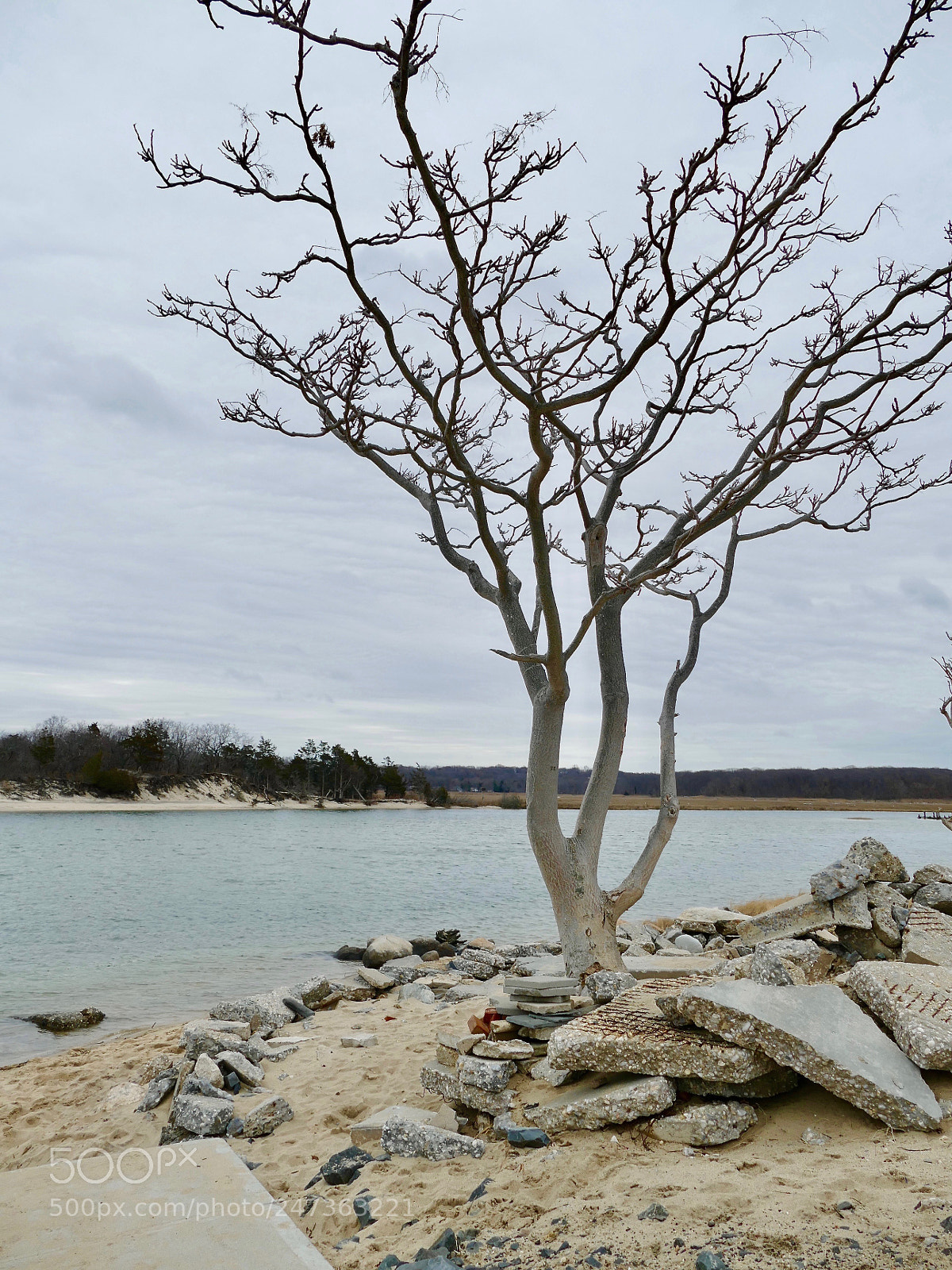Panasonic Lumix DMC-FZ1000 sample photo. Crab meadow beach- northport photography