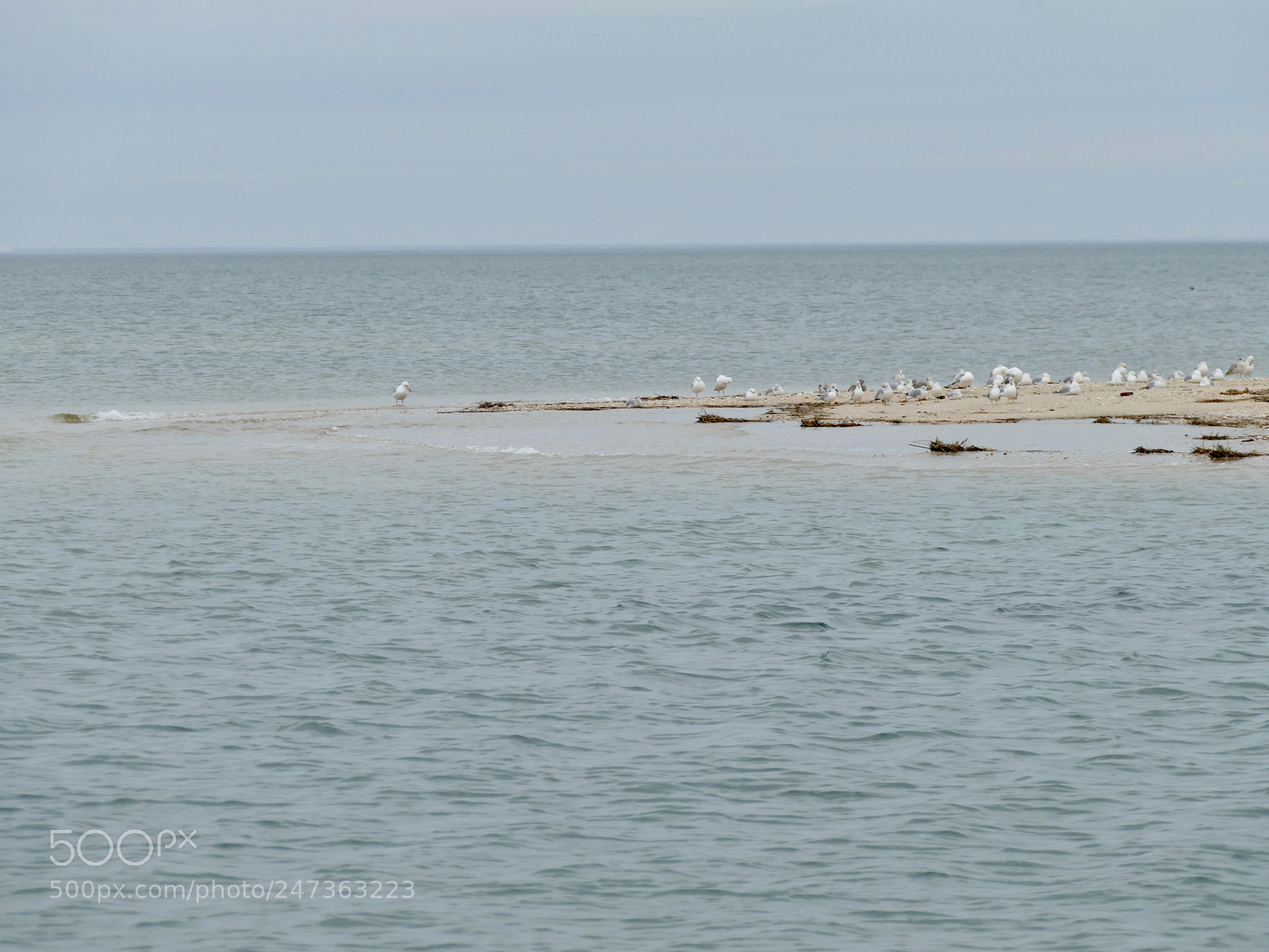 Panasonic Lumix DMC-FZ1000 sample photo. Crab meadow beach- northport photography