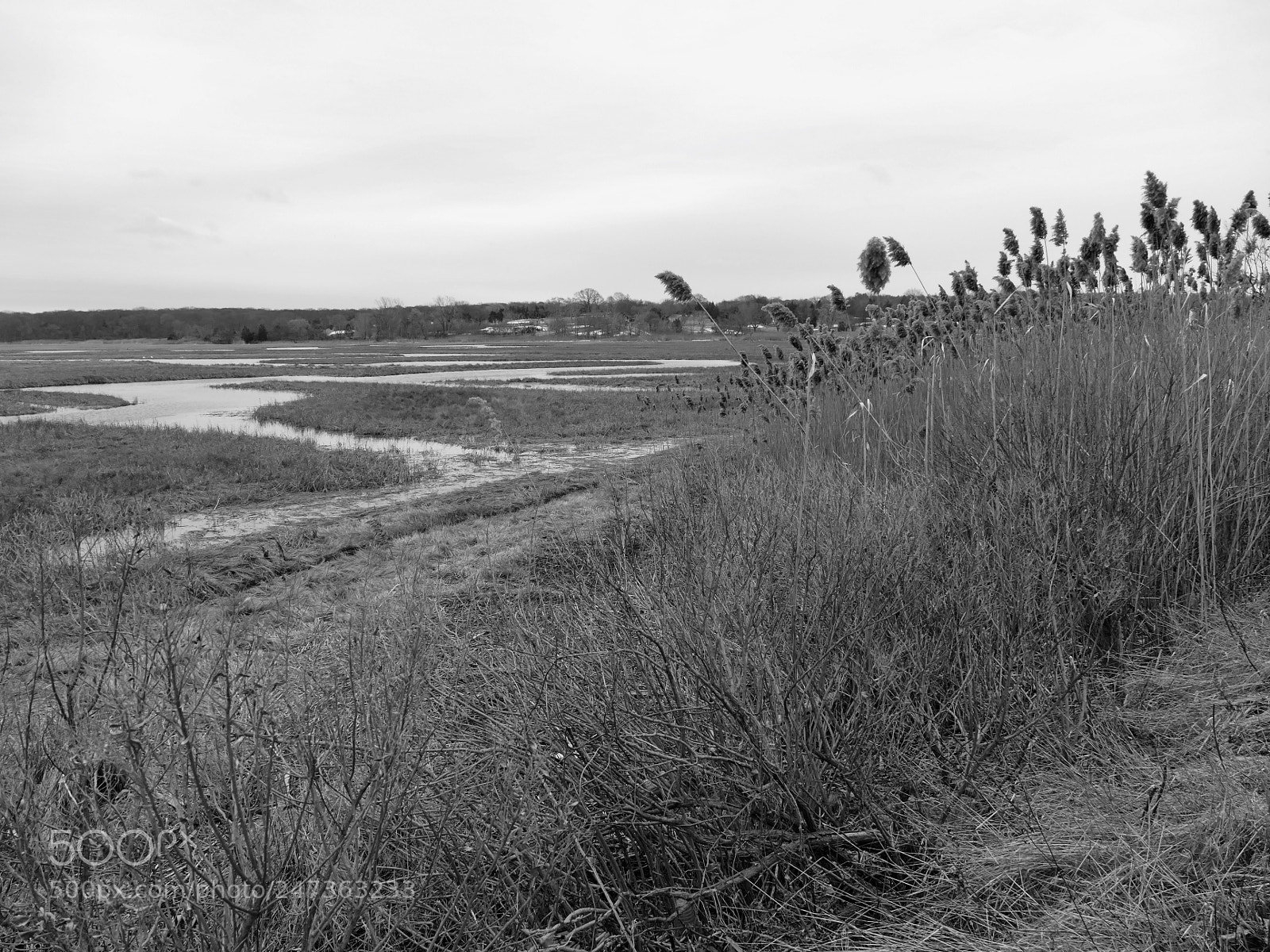Panasonic Lumix DMC-FZ1000 sample photo. Crab meadow beach- northport photography
