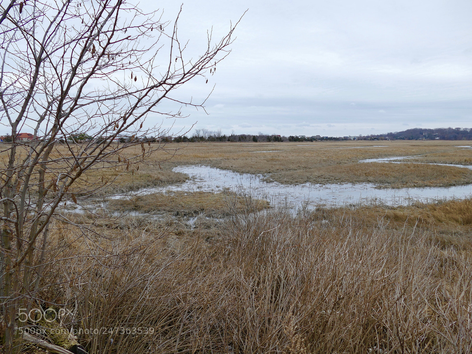 Panasonic Lumix DMC-FZ1000 sample photo. Crab meadow beach- northport photography