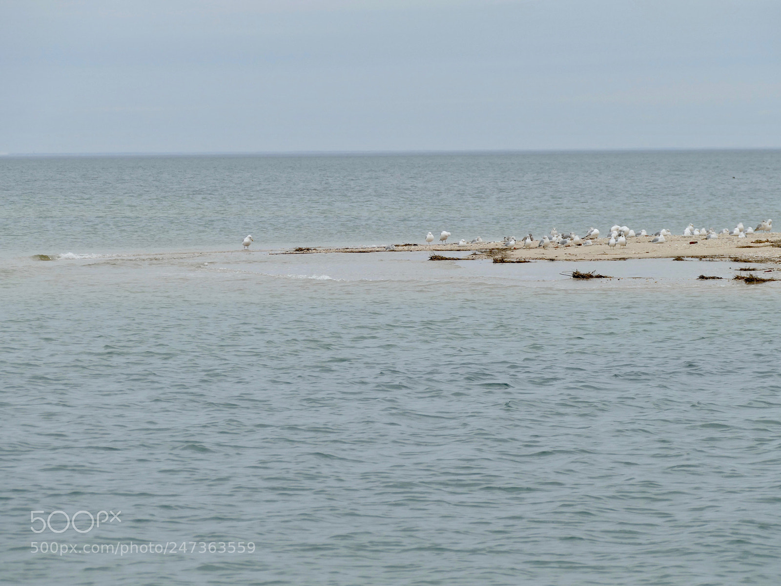 Panasonic Lumix DMC-FZ1000 sample photo. Crab meadow beach- northport photography