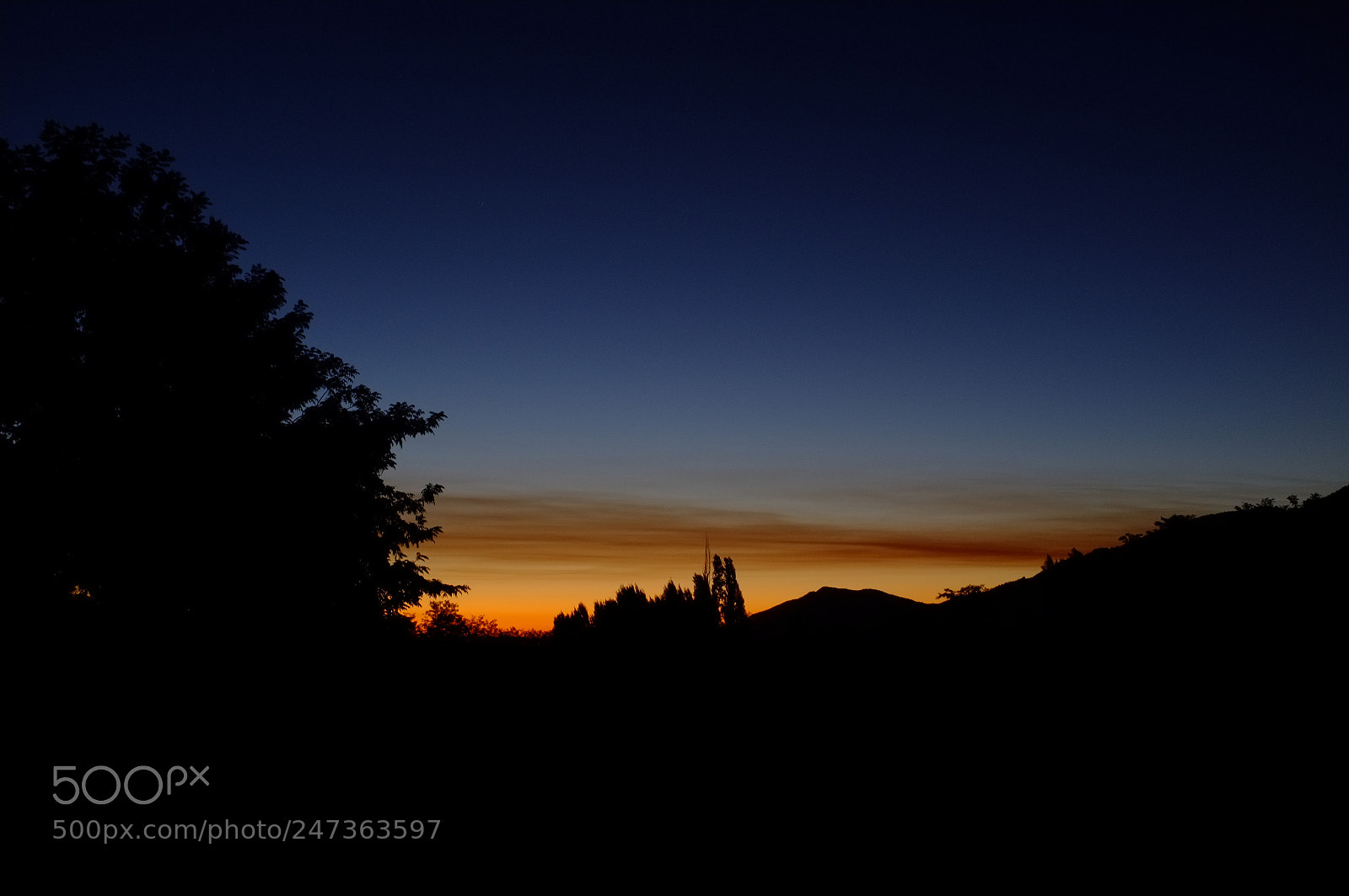 Fujifilm FinePix X100 sample photo. Backlight sunset photography