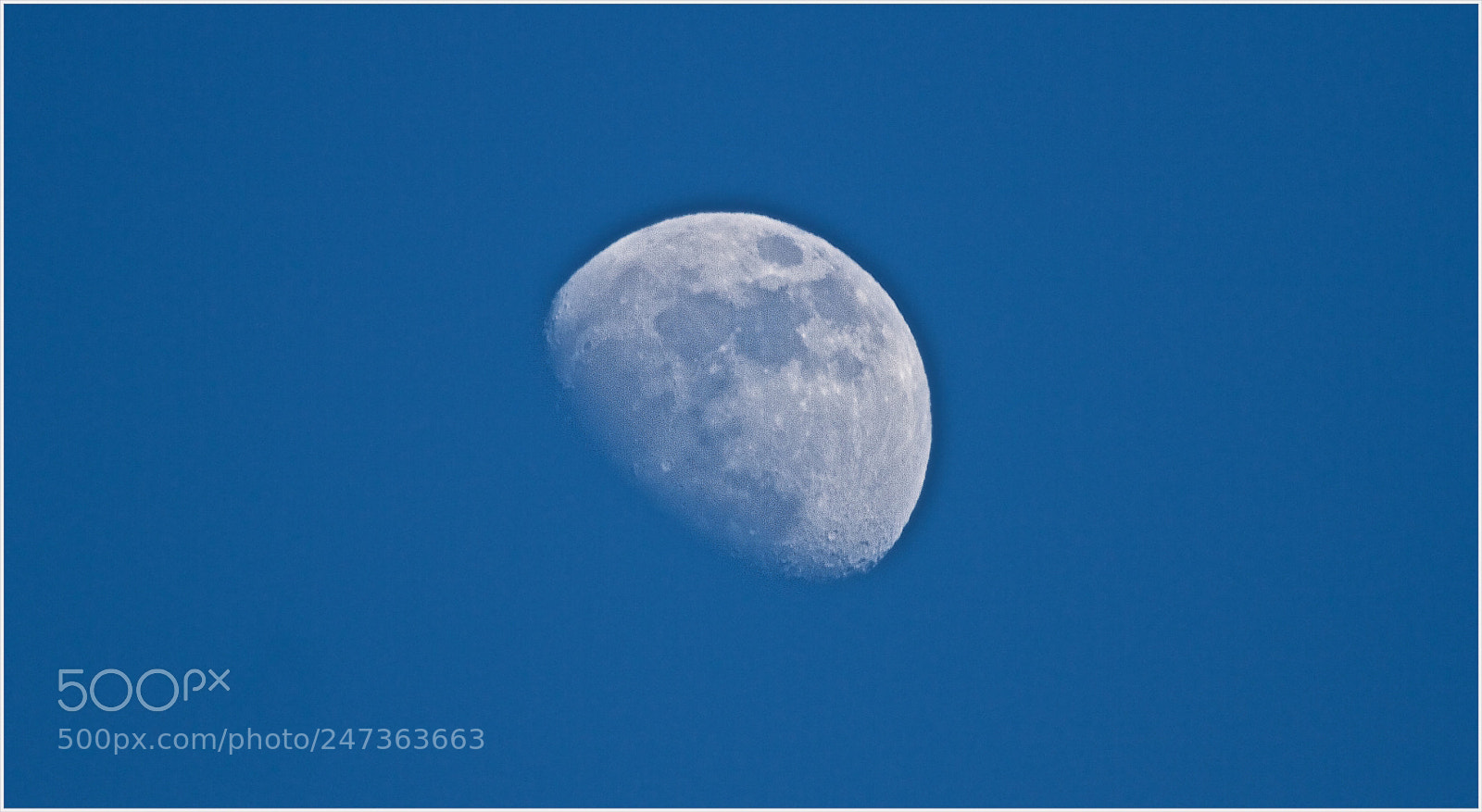 Canon EOS 7D sample photo. Day 58    - 16:46 photography