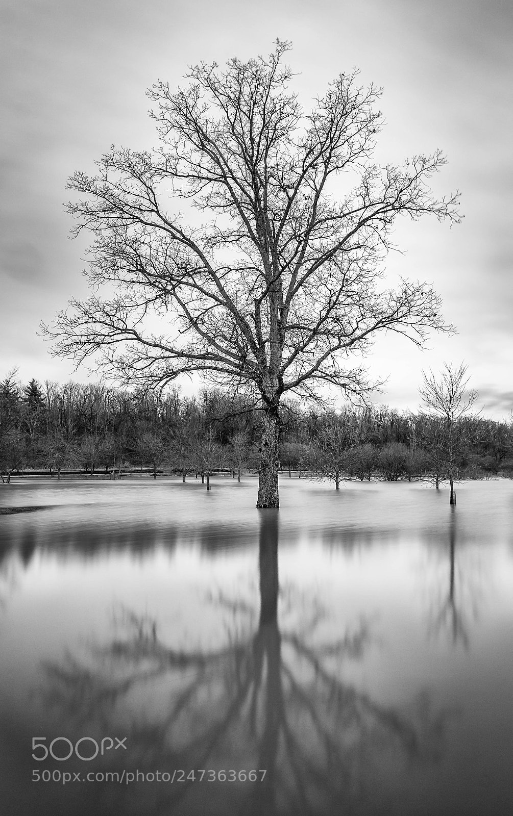 Canon EOS 60D sample photo. Flood level photography