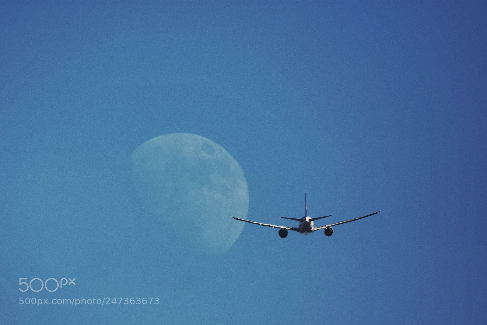 Nikon D7200 sample photo. 'fly me to the photography