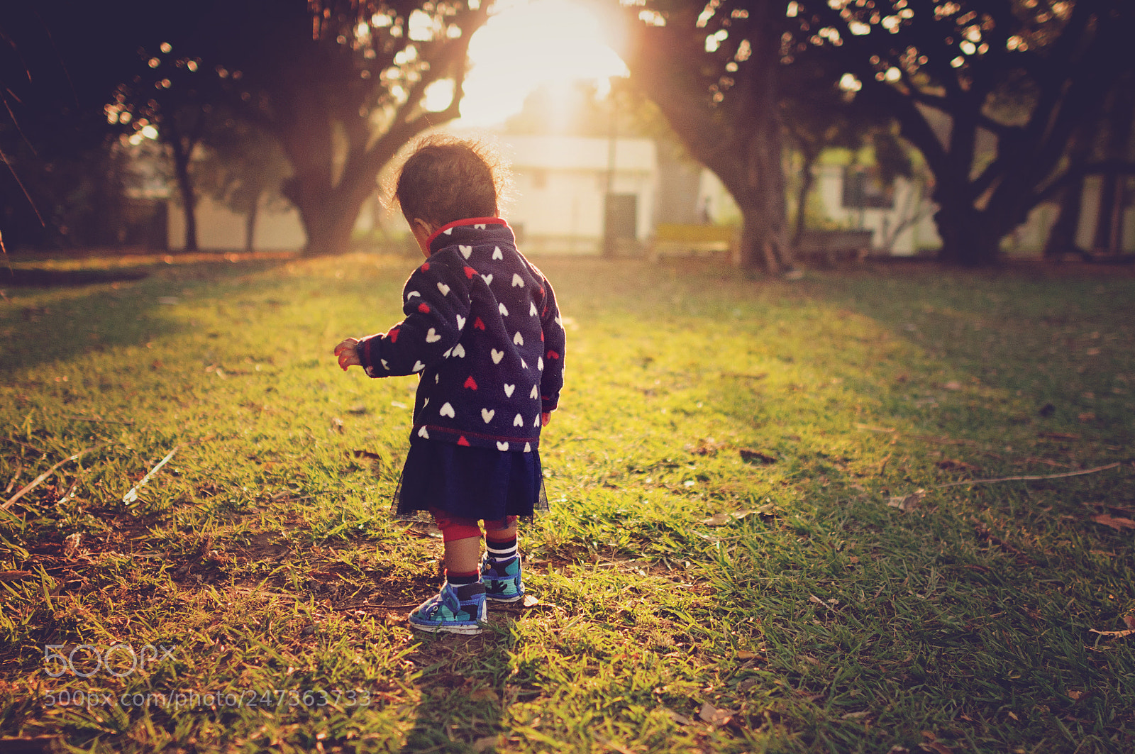 Nikon D90 sample photo. Toddler in morning light photography