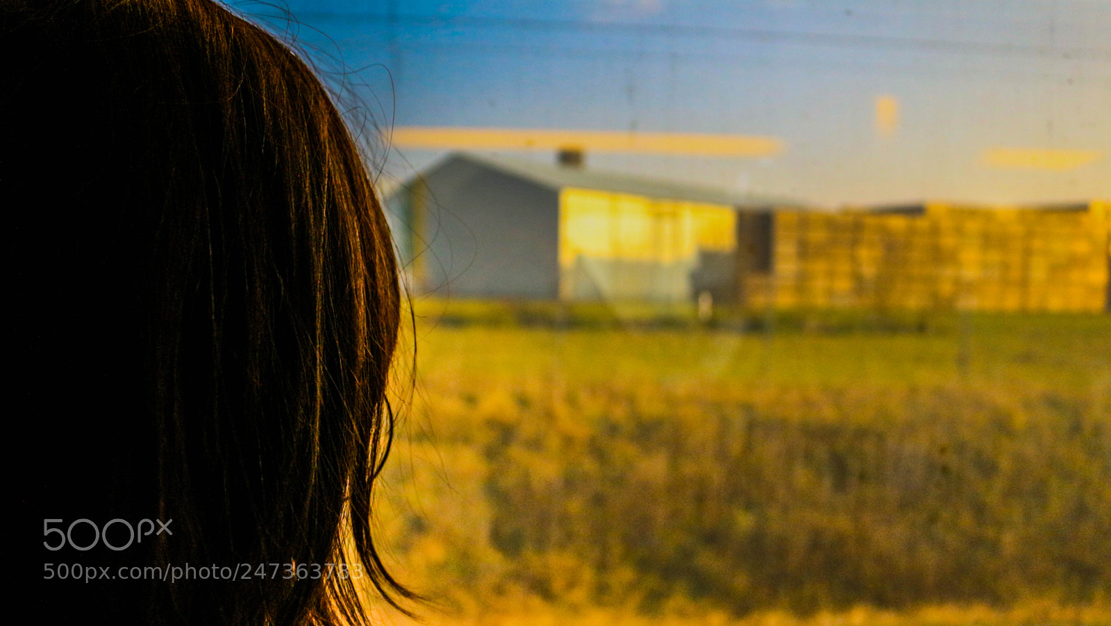 Canon EOS 100D (EOS Rebel SL1 / EOS Kiss X7) sample photo. Looking the farm photography