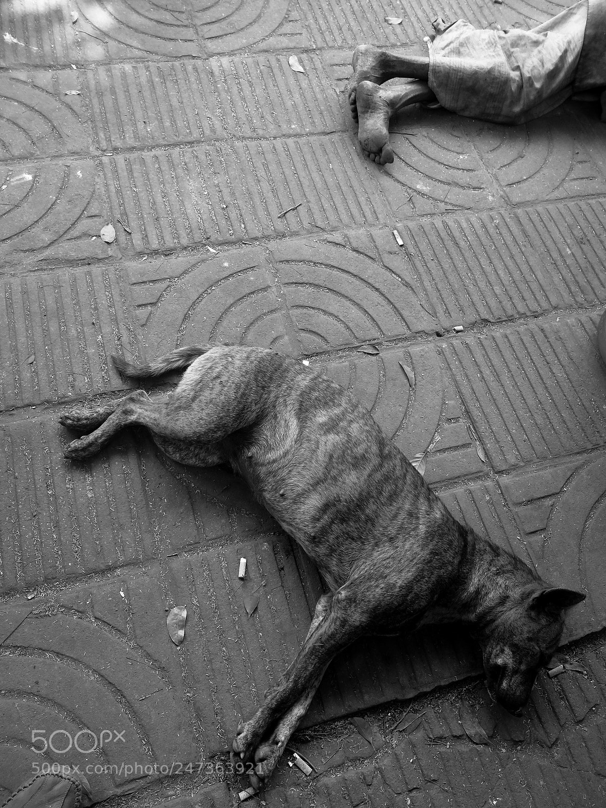 Fujifilm X20 sample photo. Gulisthan, dhaka photography