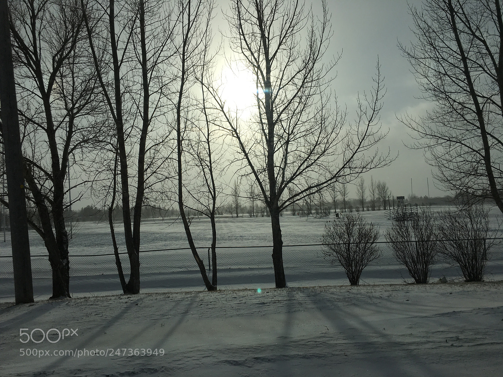 Apple iPhone 6s sample photo. Snow photography