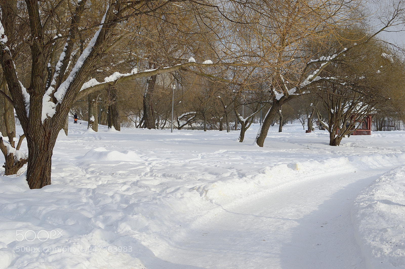Nikon D3200 + Nikon AF-S DX Nikkor 35mm F1.8G sample photo. четыре дня до весны photography