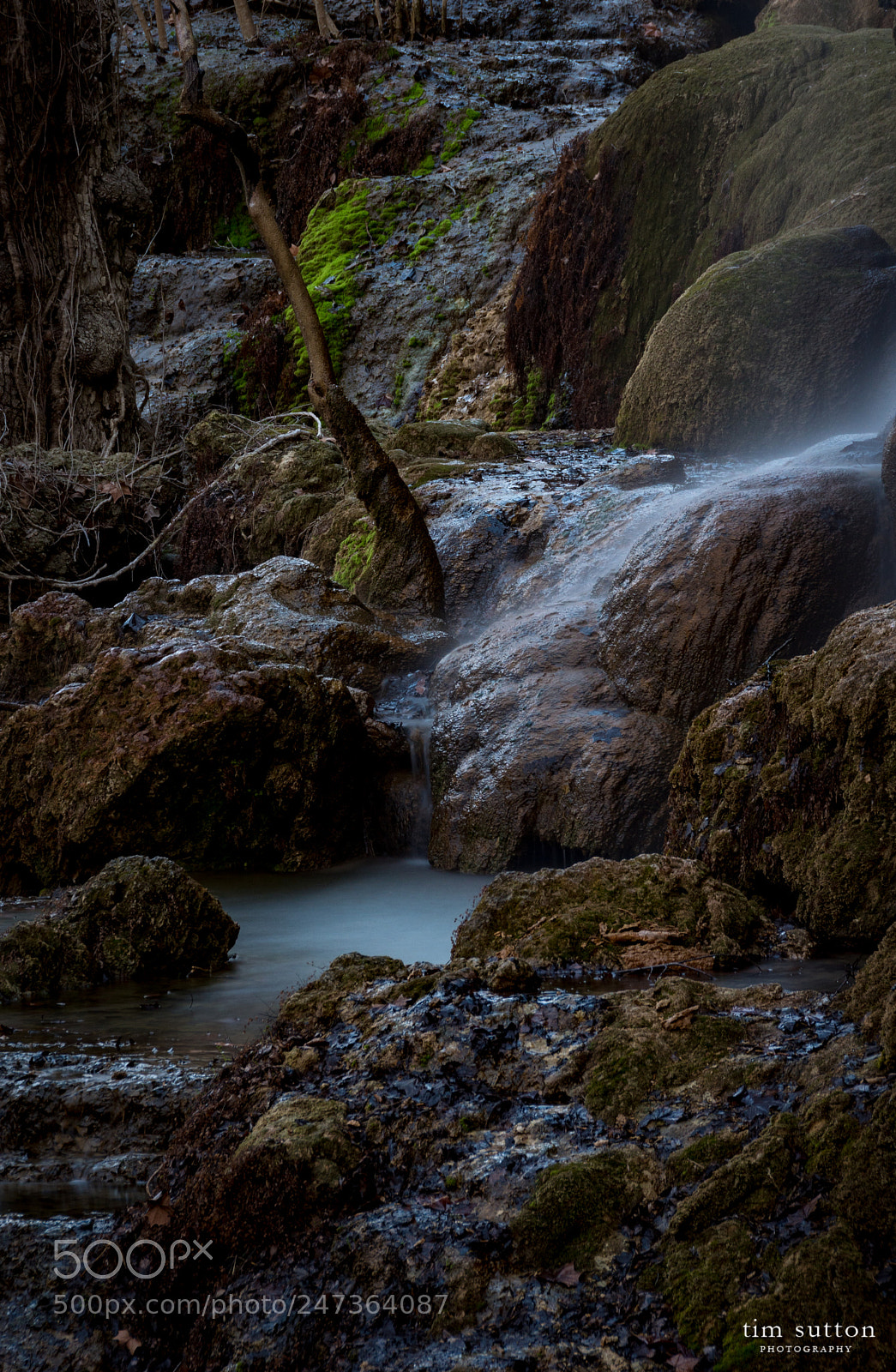 Sony ILCA-77M2 sample photo. Gorman falls photography