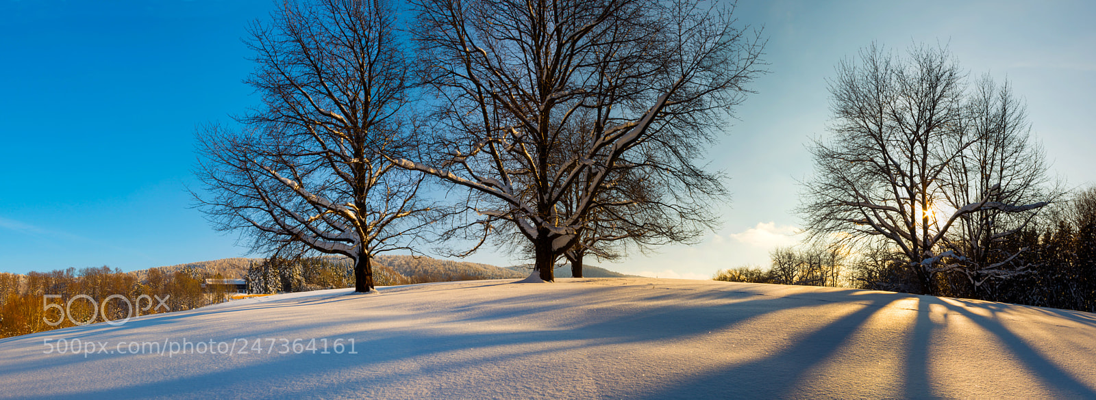 Pentax K-5 II sample photo. Snow shadows photography