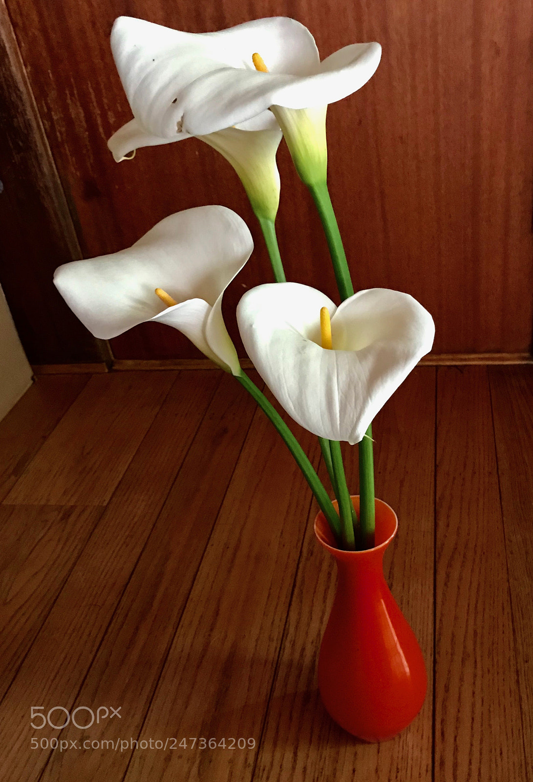 Apple iPhone 7 Plus sample photo. Calla bouquet, mill valley photography
