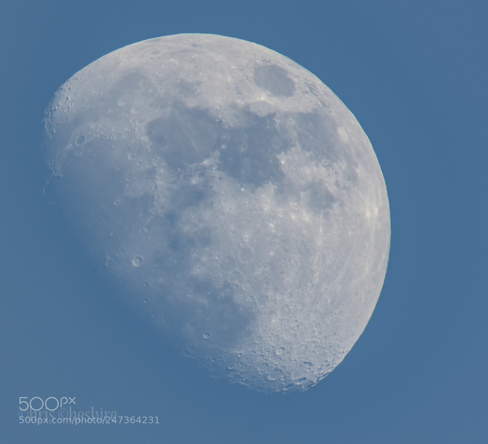 Nikon D500 sample photo. Winter moon photography
