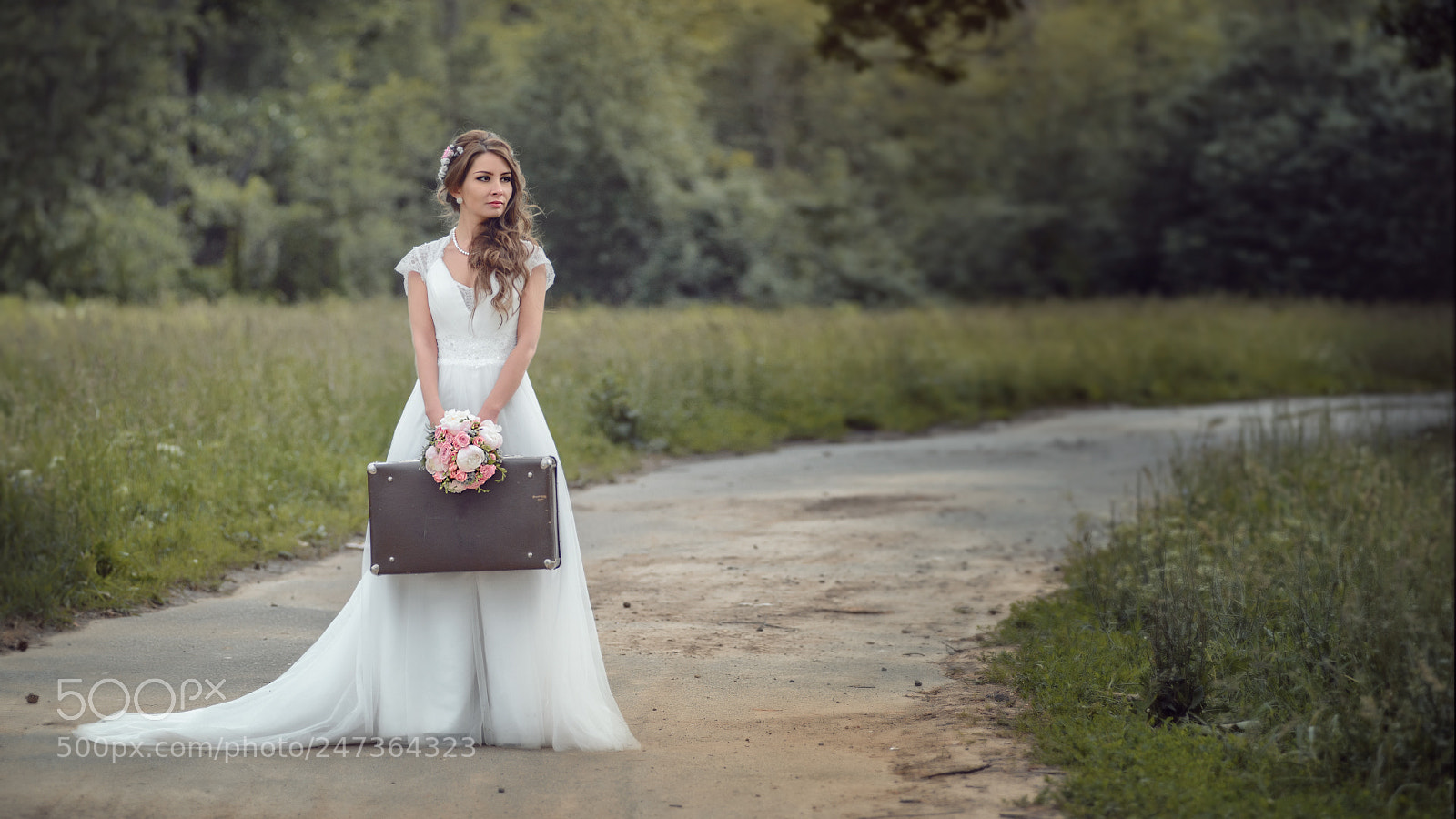 Nikon D600 sample photo. Beauty bride. road. photography