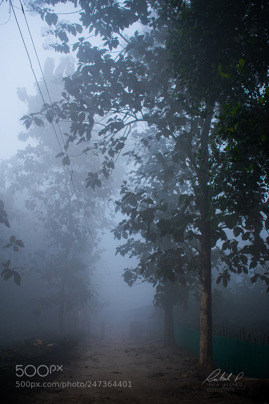 Nikon D3400 sample photo. Fogy day photography