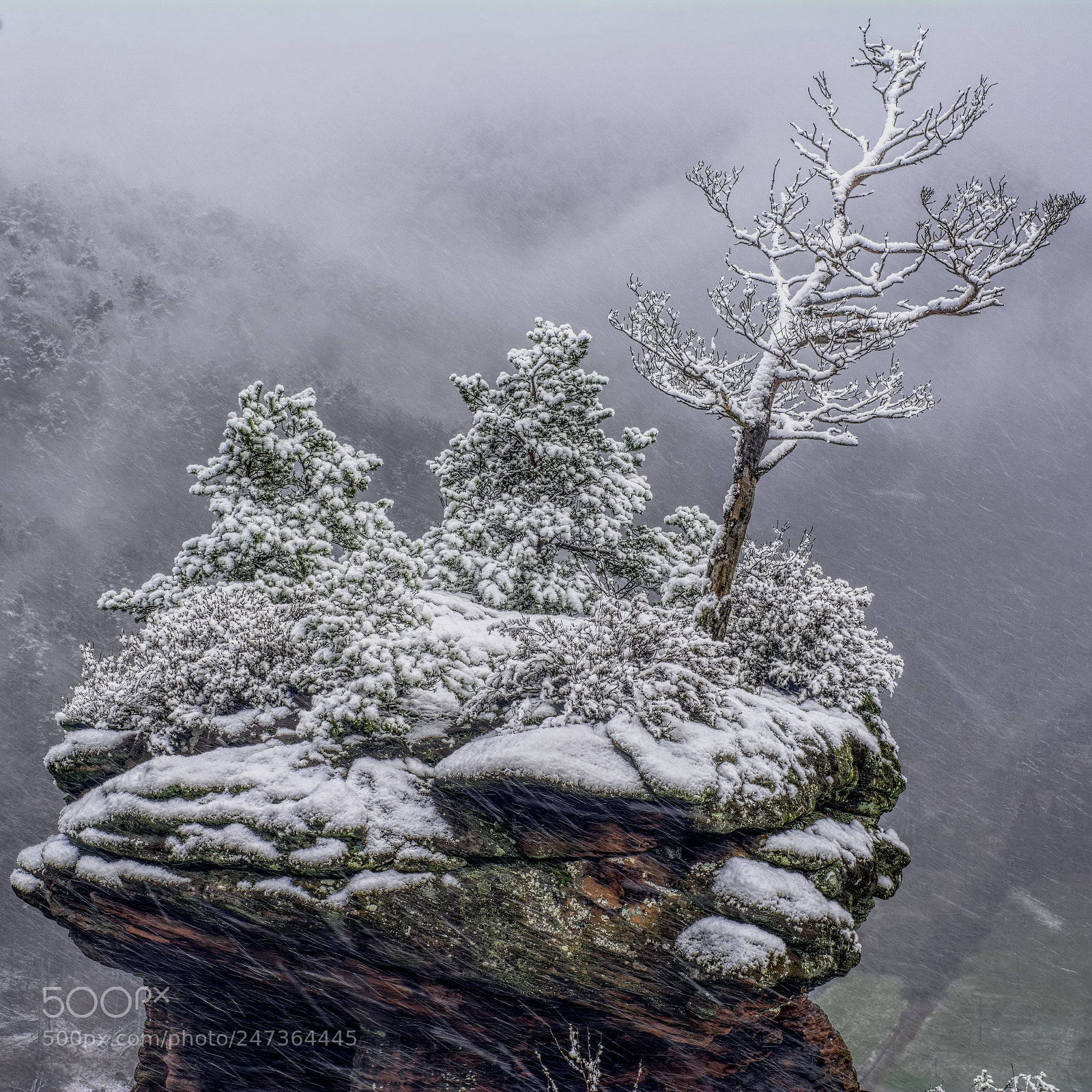 Nikon D7100 sample photo. Palatinate77 photography
