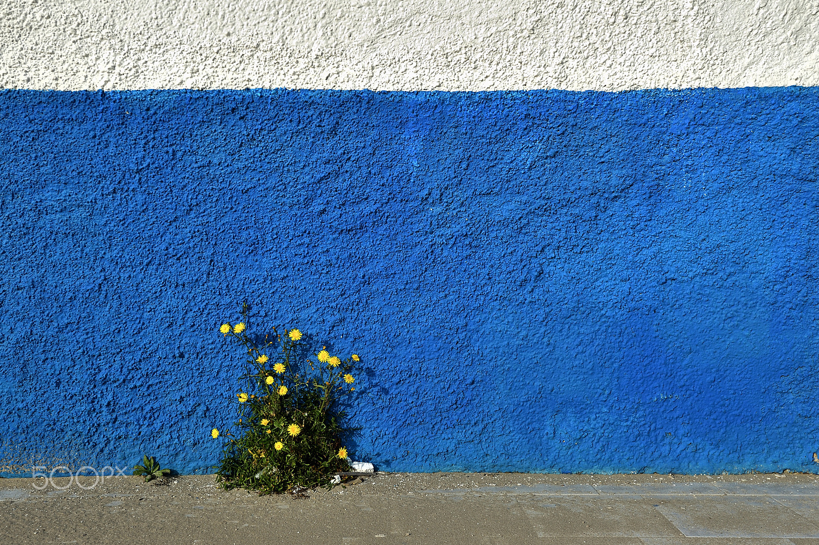 Nikon AF-S Nikkor 16-35mm F4G ED VR sample photo. Hanging on life - (shooting walls 10) photography
