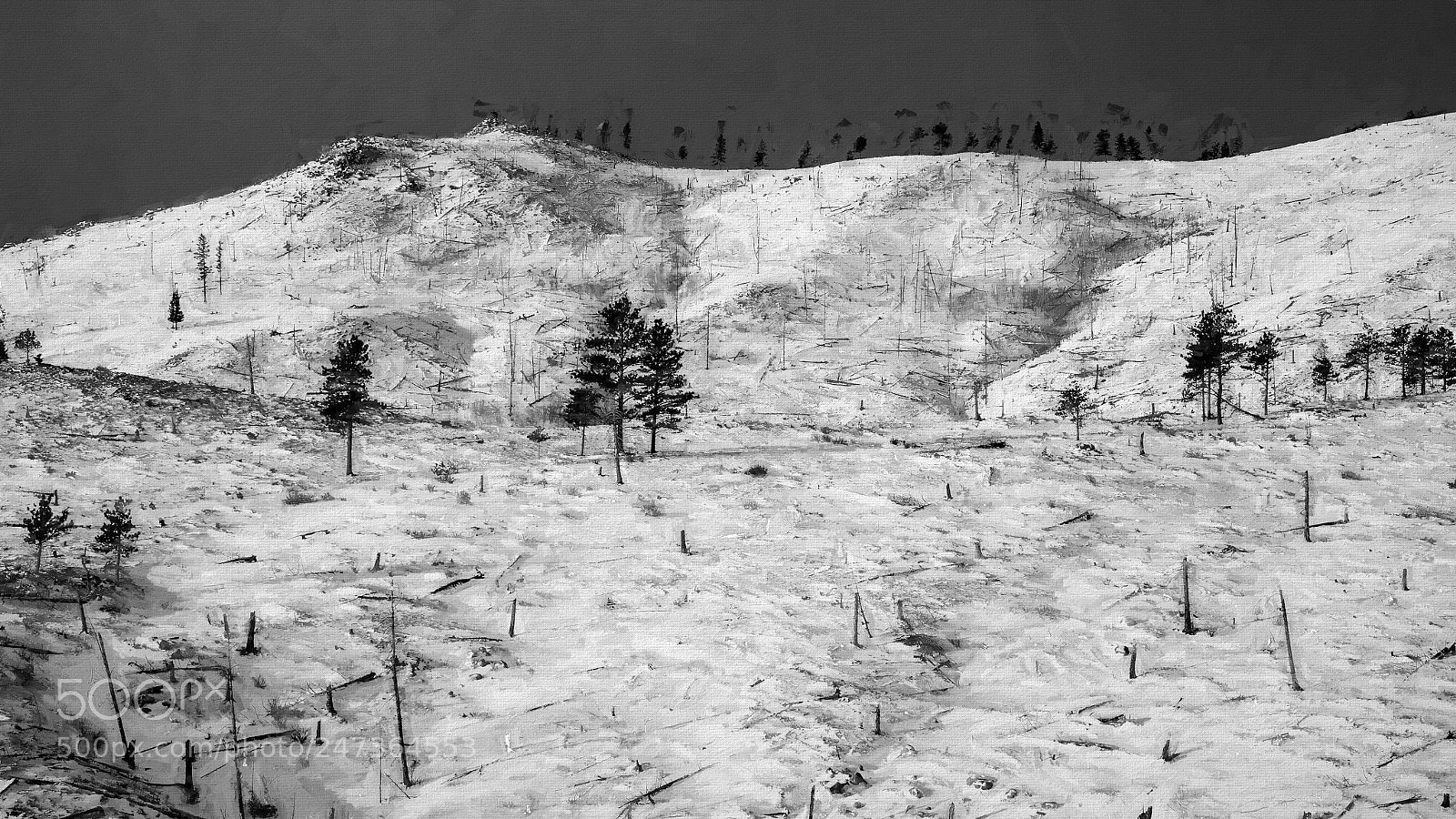 Canon EOS 5D Mark II sample photo. Winterscape in monochrome photography