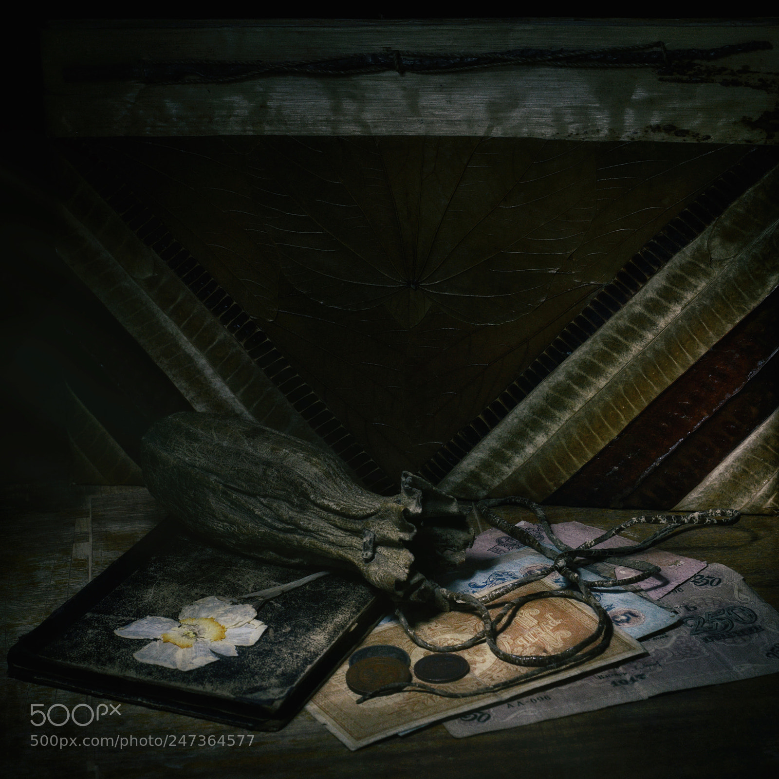 Nikon D800 sample photo. Вариация photography