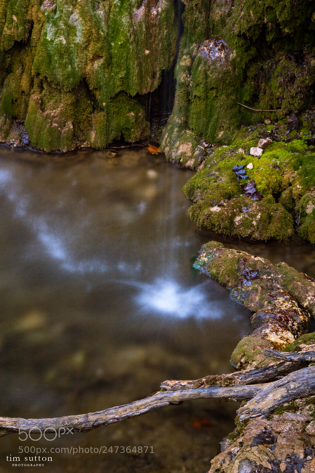 Sony ILCA-77M2 sample photo. Pooling water photography