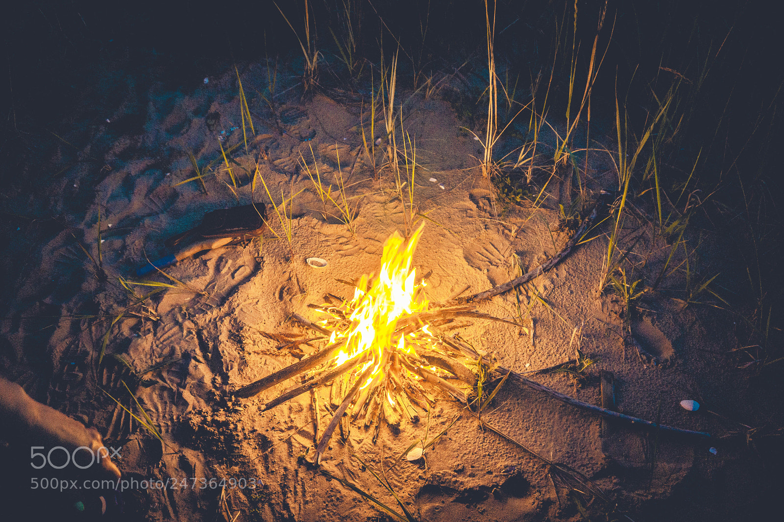 Sony a5100 sample photo. Untitled photography