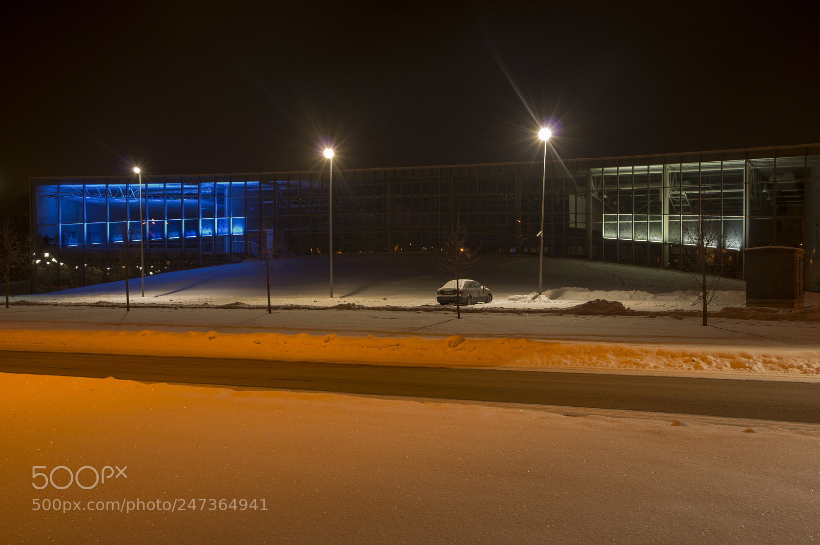 Pentax K-3 II sample photo. Estonian flag photography