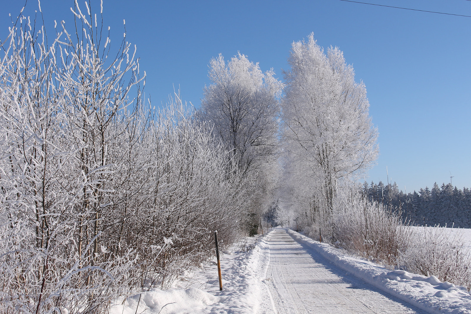 Canon EOS 700D (EOS Rebel T5i / EOS Kiss X7i) sample photo. Winter in franken photography