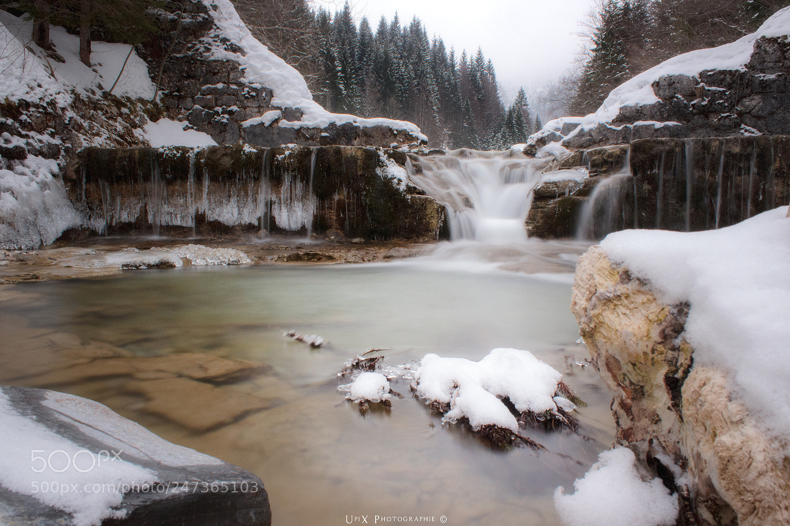 Canon EOS 600D (Rebel EOS T3i / EOS Kiss X5) sample photo. Frozen fall photography