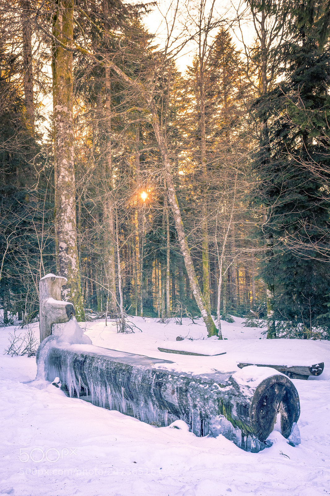 Nikon D5200 sample photo. Frozen fountain photography