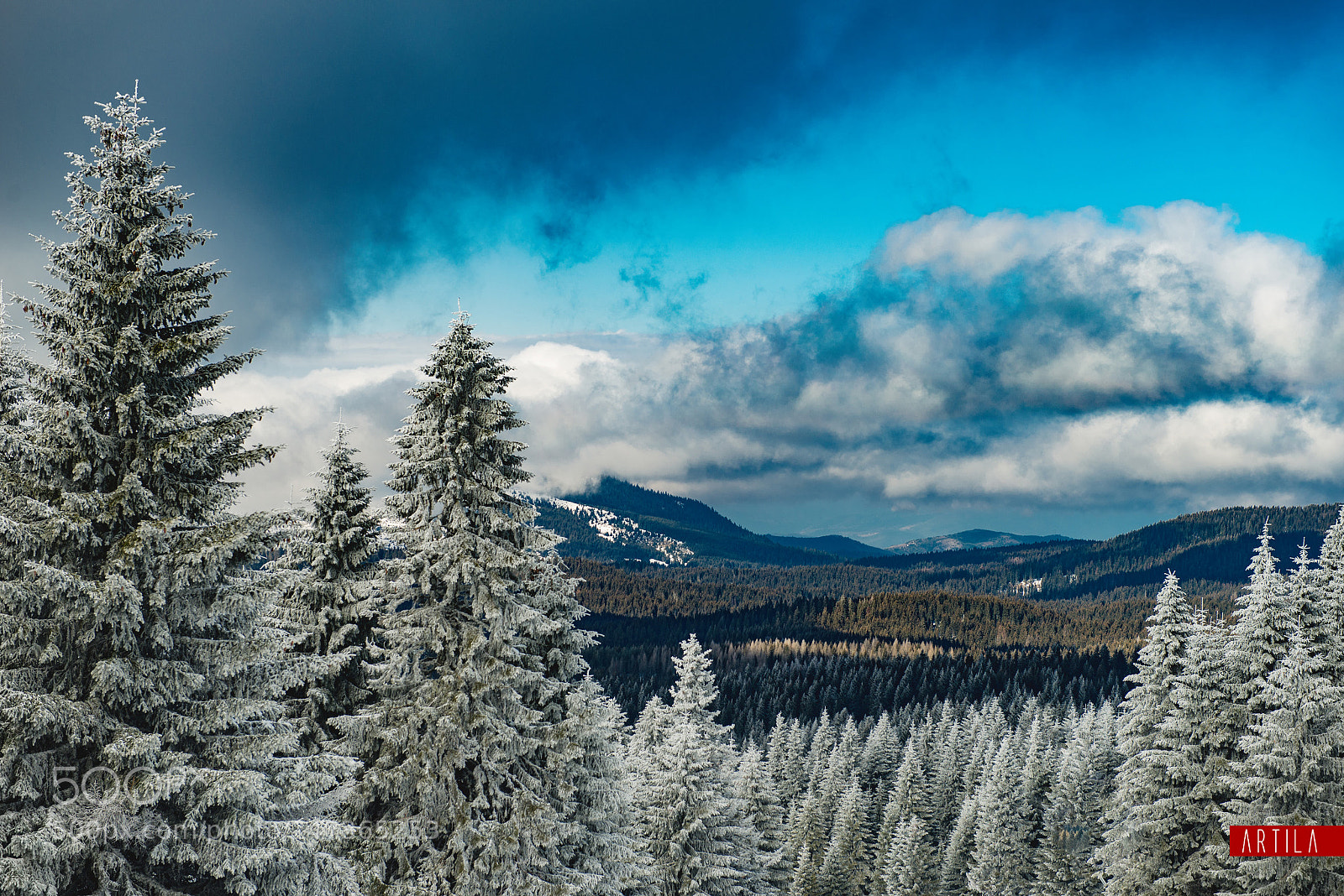 Nikon D610 sample photo. Kopaonik photography
