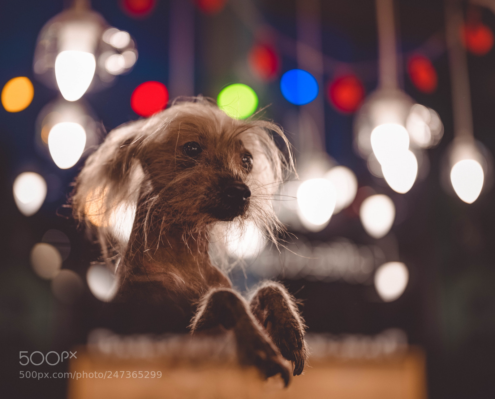 Leica SL (Typ 601) sample photo. Nora photography