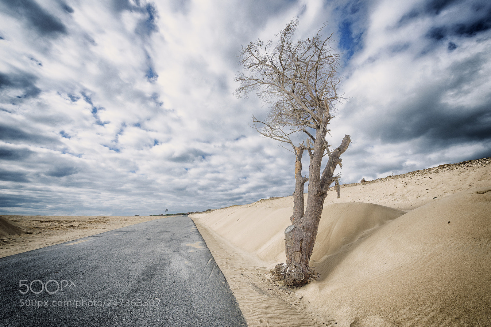 Nikon D610 sample photo. Solitario y triste photography