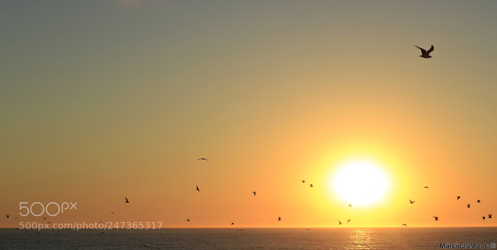 Canon EOS 600D (Rebel EOS T3i / EOS Kiss X5) sample photo. Voar s ... to photography