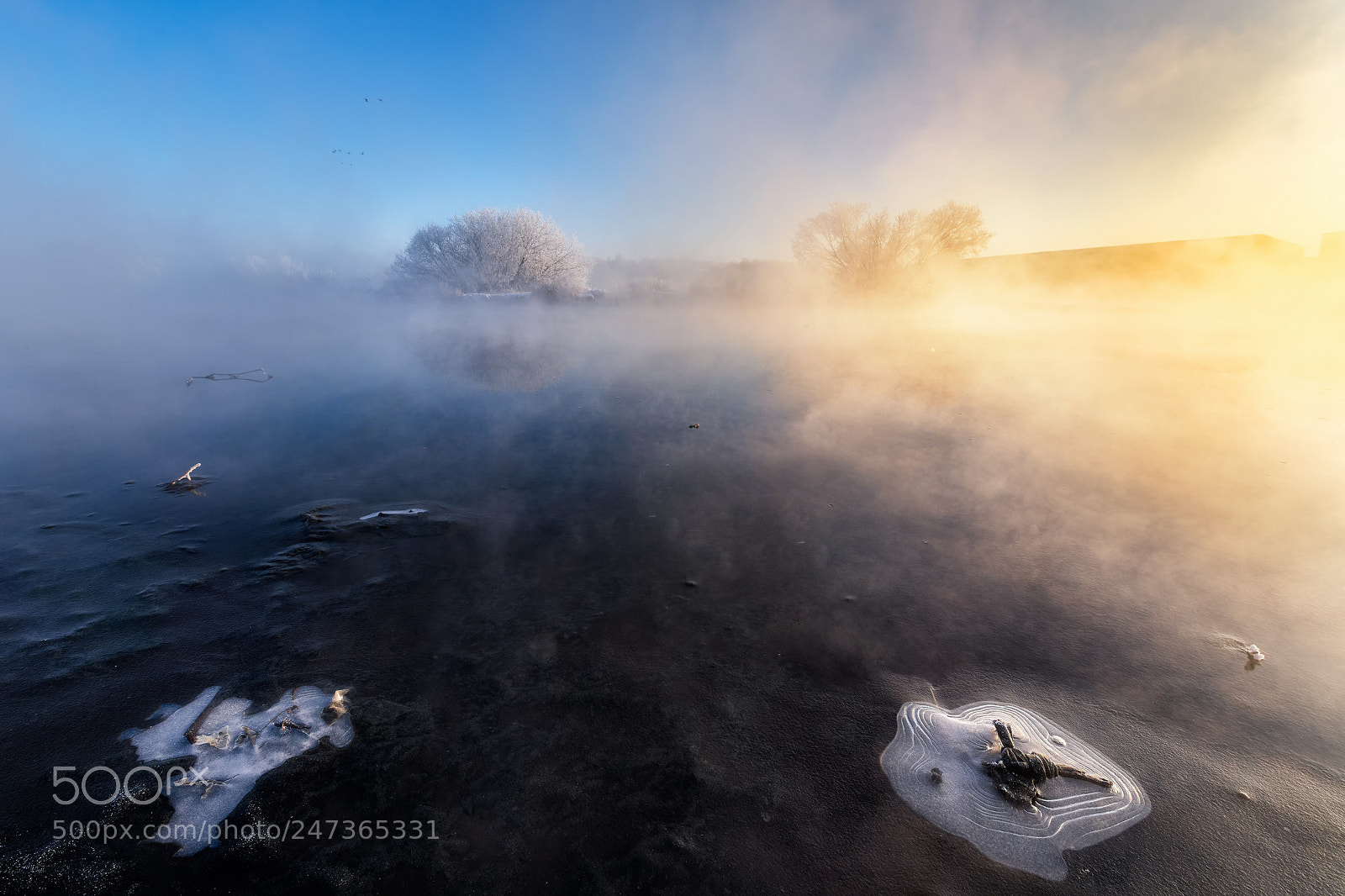 Nikon D850 sample photo. Foggy morning photography