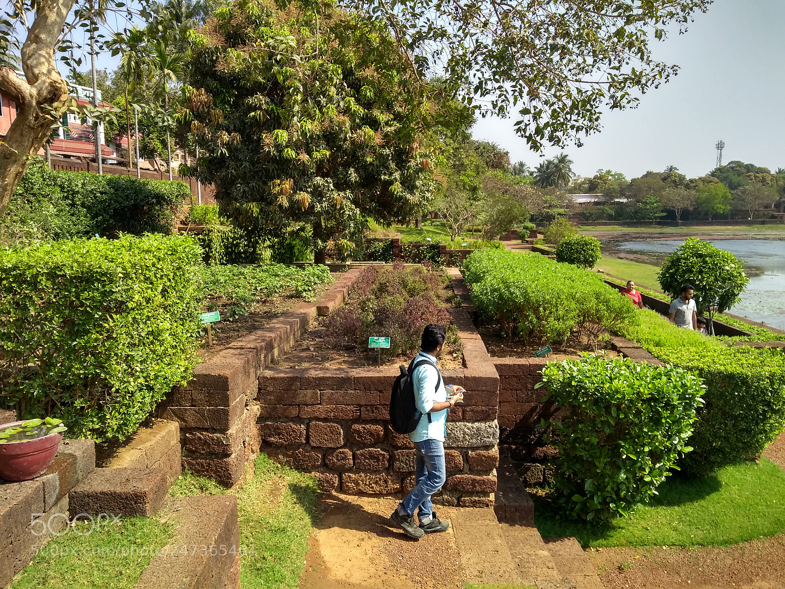 Motorola Moto G (5S) Plus sample photo. Untitled photography