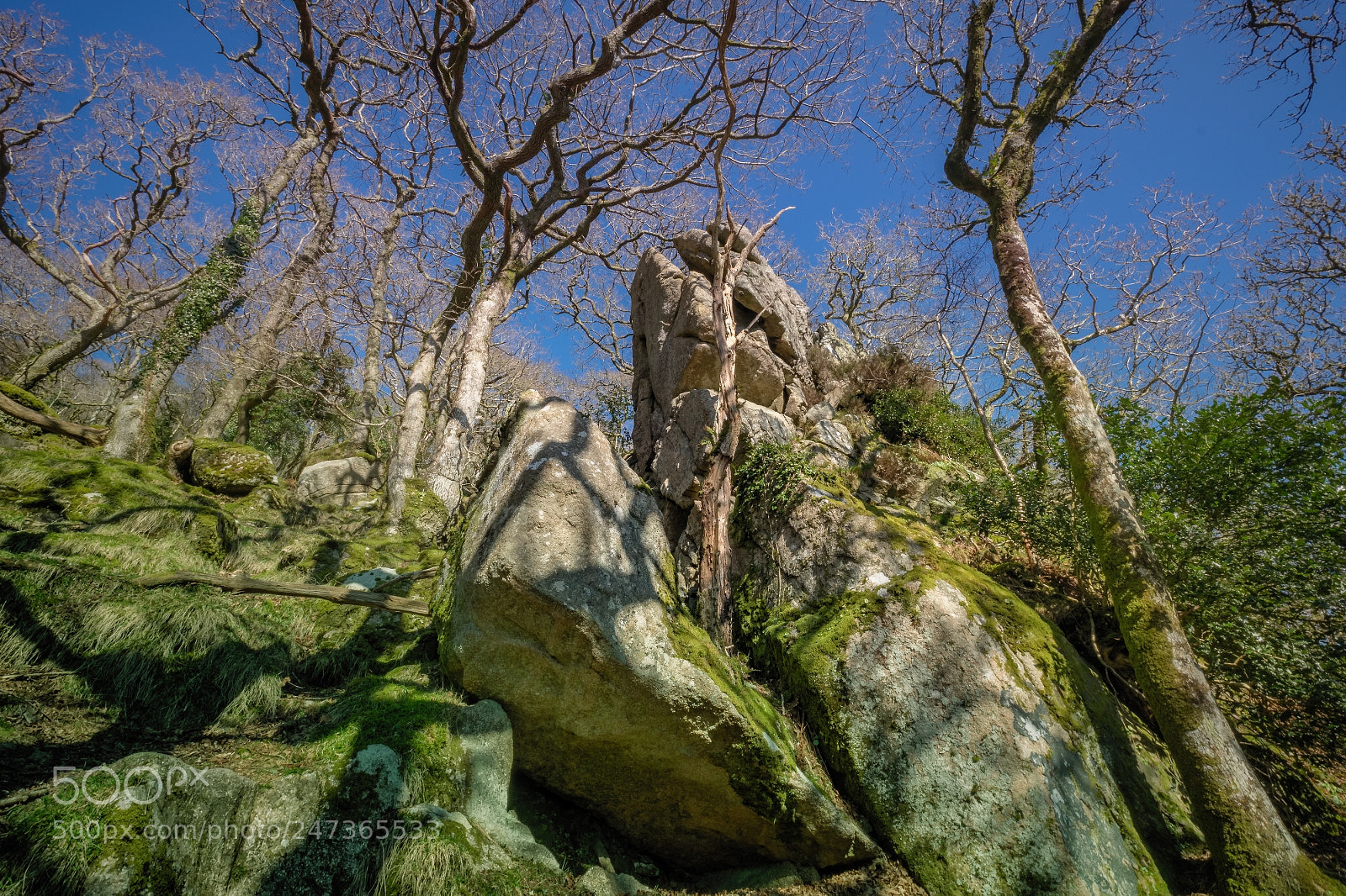 Fujifilm X-T1 sample photo. February sun in the photography